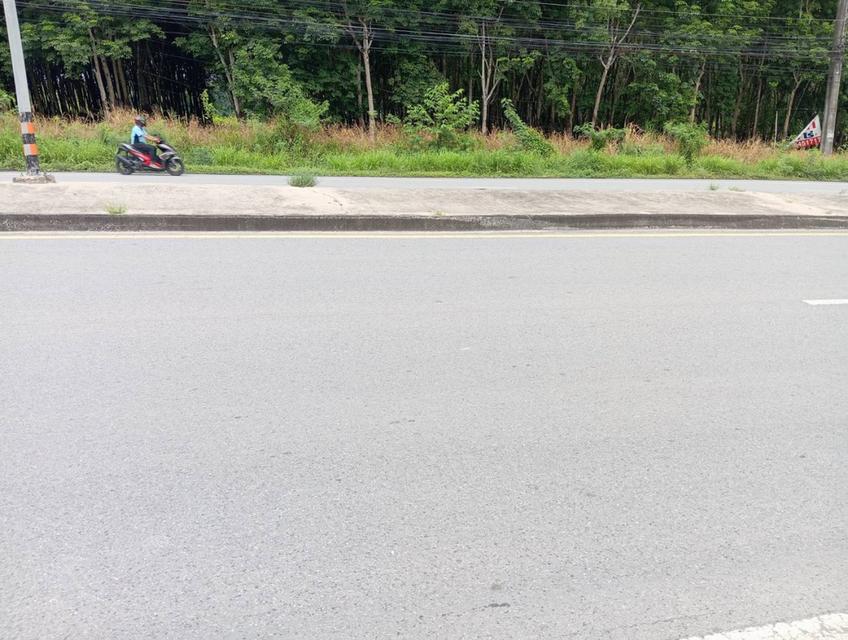 ขายที่ดินเปล่าติดถนน4เลน 8