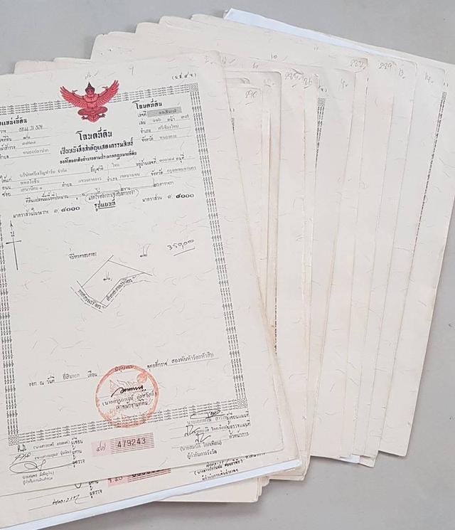 สวนปาล์มน้ำมัน427ไร่ โฉนดทั้งแปลง เจ้าของขายเอง มีระบบน้ำ ติดชลประทาน 12