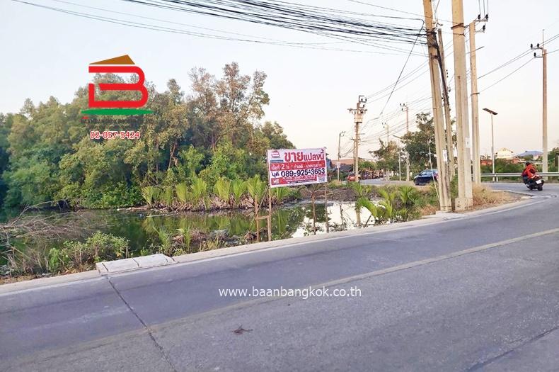 ที่ดินเปล่า เนื้อที่ 2-2-42 ไร่ ในคลองบางปลากด วัดใหญ่-คู่สร้าง ถนนสุขสวัสดิ์ ตำบลในคลองบางปลากด อำเภอพระสมุทรเจดีย์ จังหวัดสมุทรปราการ