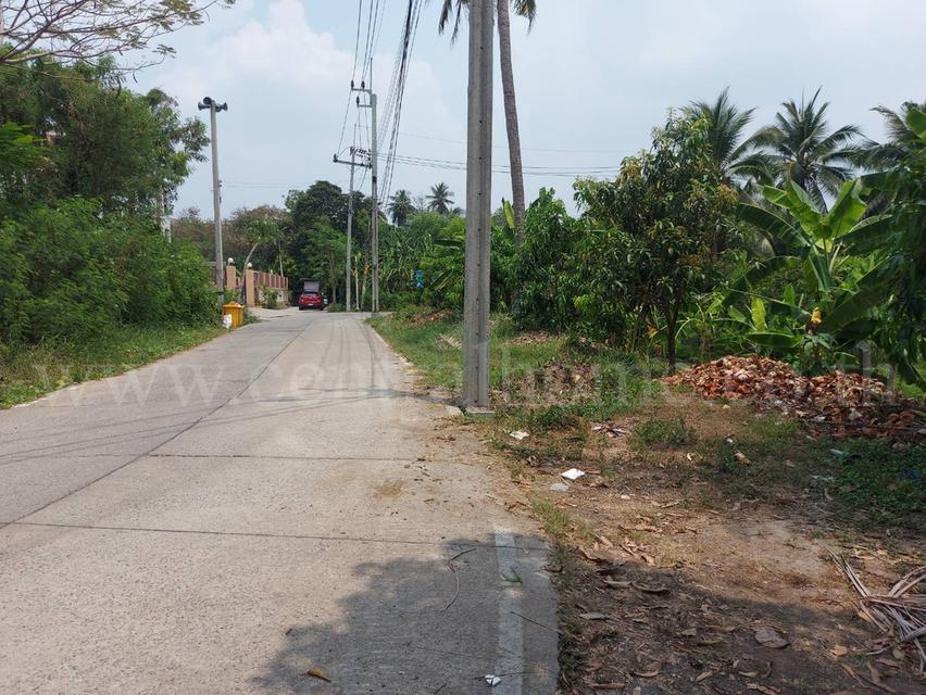 ที่ดินเปล่า 2 - 1 - 61 ไร่ ซอยบางรักใหญ่ 1 นนทบุรี ทำเลดี 4