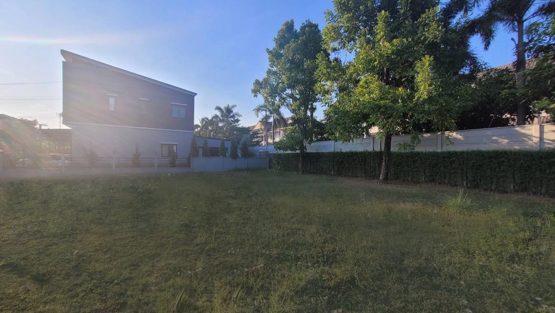 ขายที่ดินเปล่า แปลงมุม ที่ดินใหญ่ 137.70 ในโครงการ แกรนด์ พลีโน่ วัชรพล-สุขาภิบาล5 ติดถนนใหญ่ถนนสุขาภิบาล5 เดินทางสะดวก ใกล้2ทางด่วน 3