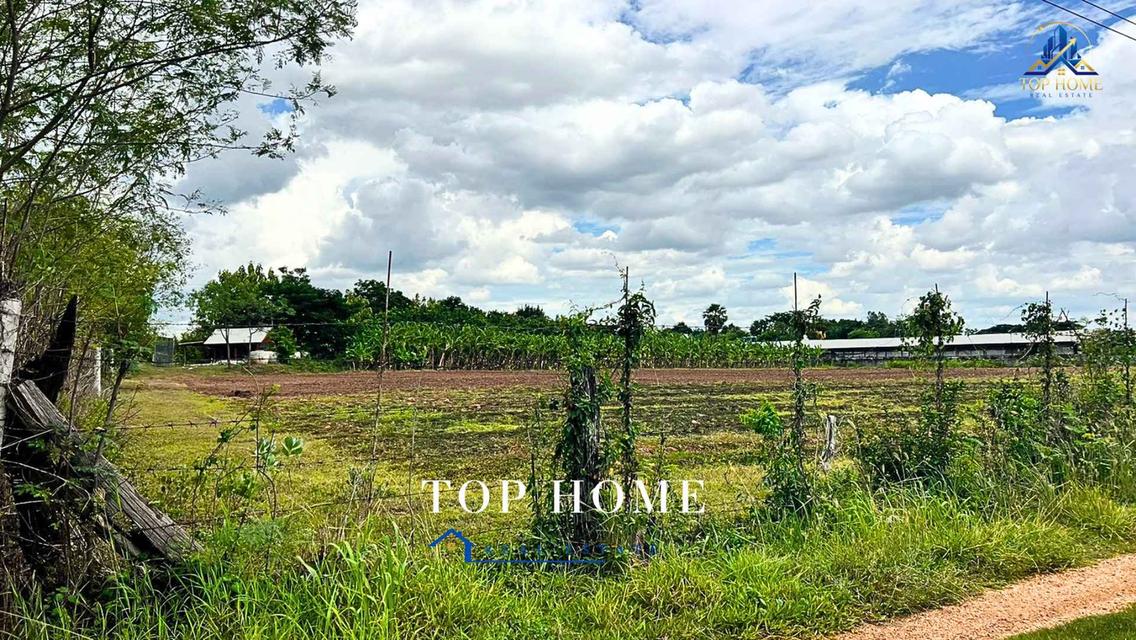 ขายด่วน! ที่ดินแปลงใหญ่ ติดถนน ทำเลดี ตำบลหนองแปน อำเภอมัญจาคีรี จังหวัดขอนแก่น 10