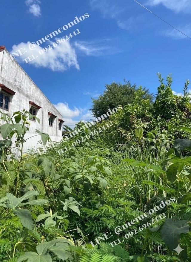 ที่ดินทมแล้ว พร้อมสิ่งปลูกสร้าง พัฒนาต่อได้เลย (น้ำไม่ท่วม) 7