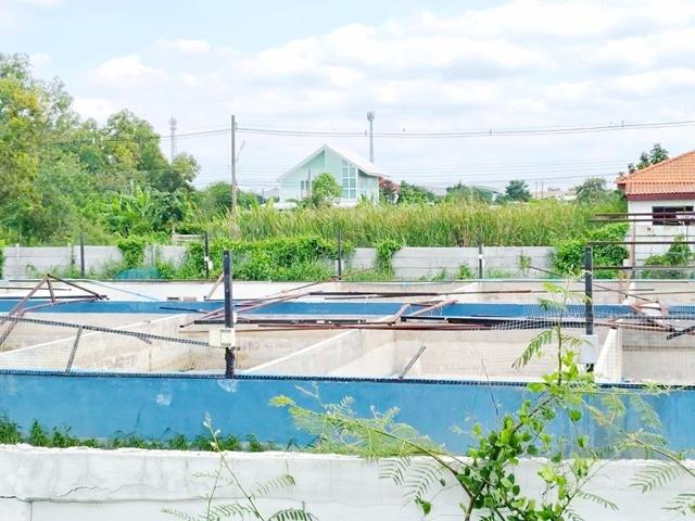 พร้อมออฟฟิศ 3 ไร่ รังสิตคลอง 3 7นอน ร้านพี่ญาคนรุม 3 กม.ตลาดชุมพล 1.2 กม. ให้เช่าบ้าน 7น้ำ ทำเลดี สวนน้ำเปรม วอร์เตอร์ปา 6