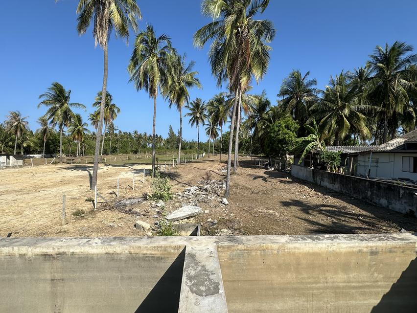 ขายที่ดินกุยบุรี 2.5 ไร่ 8