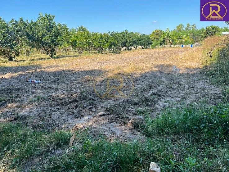 ขายที่ดินเปล่า ราคาหลักแสน แปลงสวย ทำเลดี เหมาะสร้างบ้าน 1 งาน 99.4 ตารางวา ต.นาวังหิน อ.พนัสนิคม จ.ชลบุรี 3