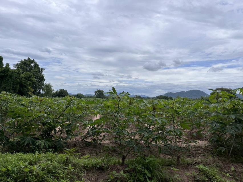 Land for sale good location  5