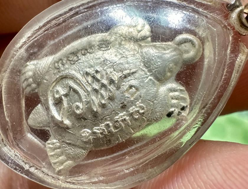 เต่าหลวงพ่อแม้น เนื้อเงิน เลี่ยมเดิมจากวัด รูปที่ 2