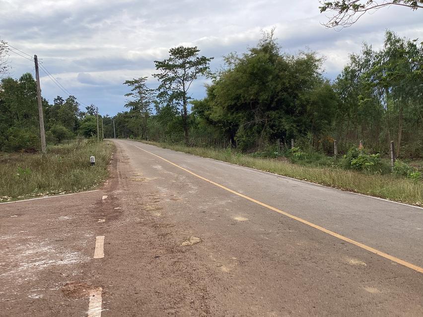 ขายที่ดินสำหรับโซล่าเซลล์ ในจ. สกลนคร 2