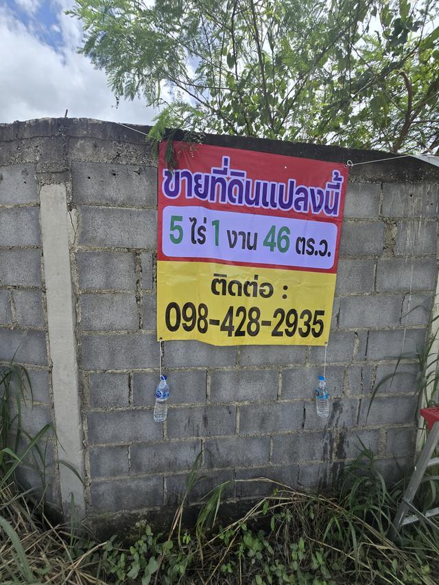 ที่ดินชลบุรี ใกล้ ชลบุรี แกลง 6