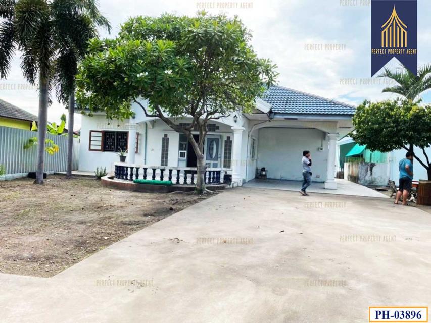 รูป บ้านเดี่ยวสร้างเอง พร้อมห้องเช่า ใกล้บางแสน ถนนสุขุมวิท ชลบุรี 2