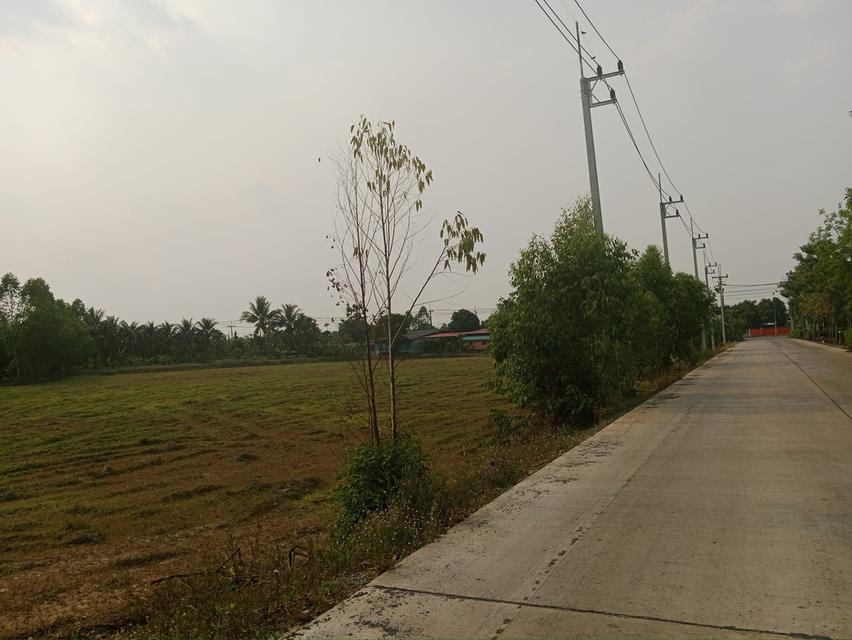 ขายที่ดินหัวหว้า ศรีมหาโพธิ 1 ไร่ ติดถนนทล.ชนบทใกล้ถนนสี่เลน3070-100เมตร จ.ปราจีนบุรี 2