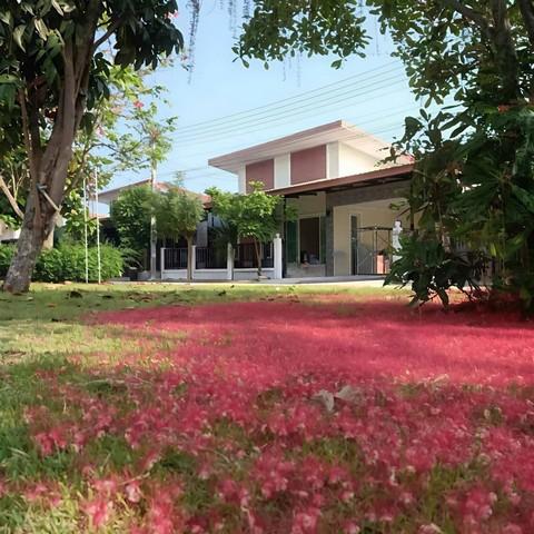 ให้เช่าบ้านเดี่ยวหลังใหญ่พนัสชลบุรี สิรัชชา พาร์ค ใกล้นิคมอมตะพานทองชลบุรี เฟส 8,9,10 บ้านอยู่หน้าสวนบรรยากาศดี 1