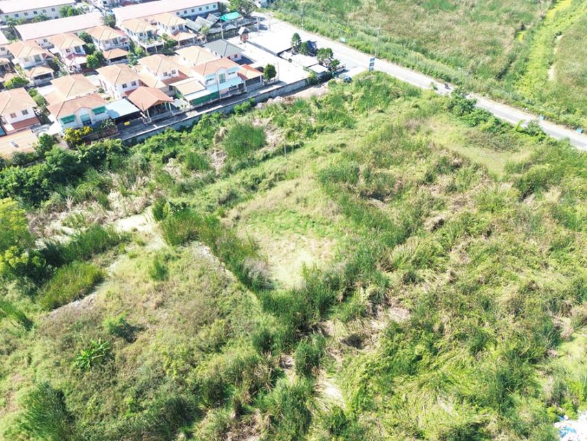 ขายที่ดิน ลำลูกกา คลองสอง 200 ตร.วา. ซอยผู้ใหญ่กำนัน หน้ากว้าง 28 ม. เหมาะปลูกบ้าน ใกล้เทศบาลลำสามแก้ว 5