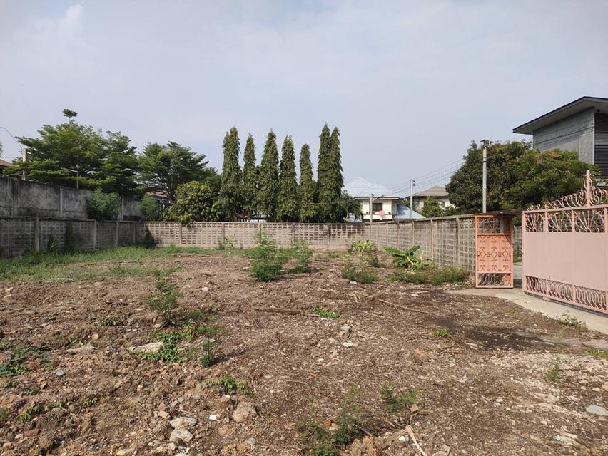 ให้เช่าที่ดินเปล่าถมแล้วในถนนมัยลาภ กรุงเทพมหานคร 8