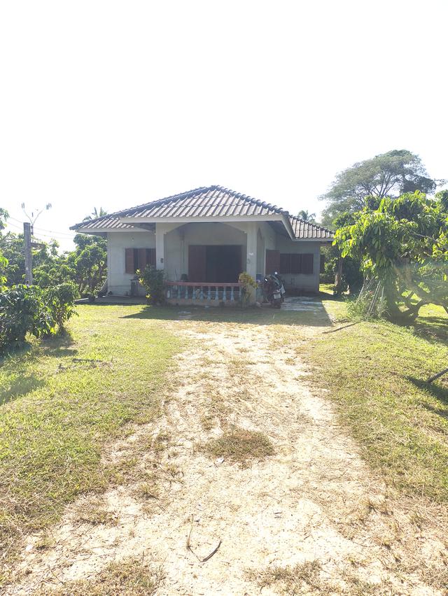 ขายที่ดิน เชียงใหม่ แม่แตง พื้นที่ชุมชน 1