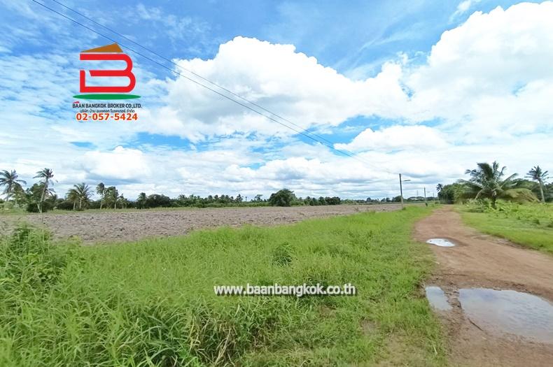ที่ดินเปล่า ตำบลท่าบุญมี (สี่แยกเกาะโพธิ์) เนื้อที่ 71-0-22 ไร่ (ใกล้อ่างเก็บน้ำคลองหลวงรัชชโลทร) ตำบลท่าบุญมี อำเภอเกาะจันทร์ จังหวัดชลบุรี 5