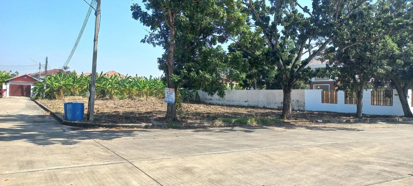 ที่ดินสร้างบ้านม.วริยาวิลล์ บรมราชชนนี พุทธมณฑลสาย4 ใกล้มหิดลศาลายา แปลงมุม ถนนเมน 305 ตร.ว สร้างบ้าน สำนักงาน ราคาพิเศษ 14