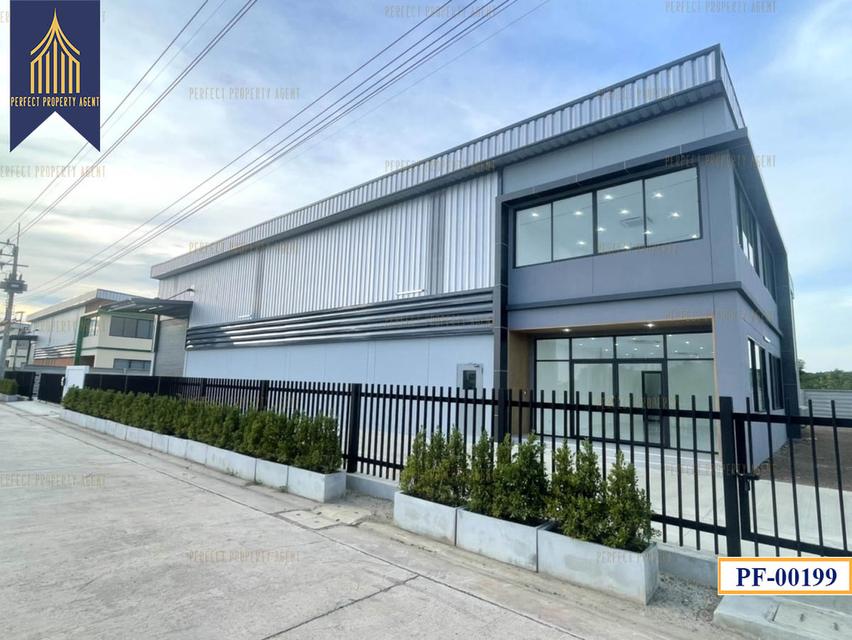 New Factory for sale สีม่วงเข้ม หลายขนาด ลำลูกกา ปทุมธานี 3