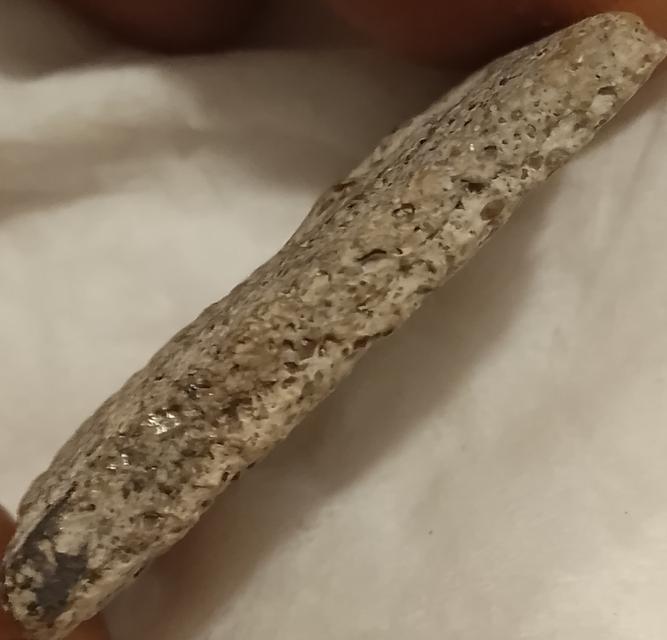 พระเครื่องพระบูชาสมเด็จพุฒาจารย์โตพรหมรังษีสมเด็จวัดระฆังบางขุนพรหมเกศไชโย รูปที่ 3