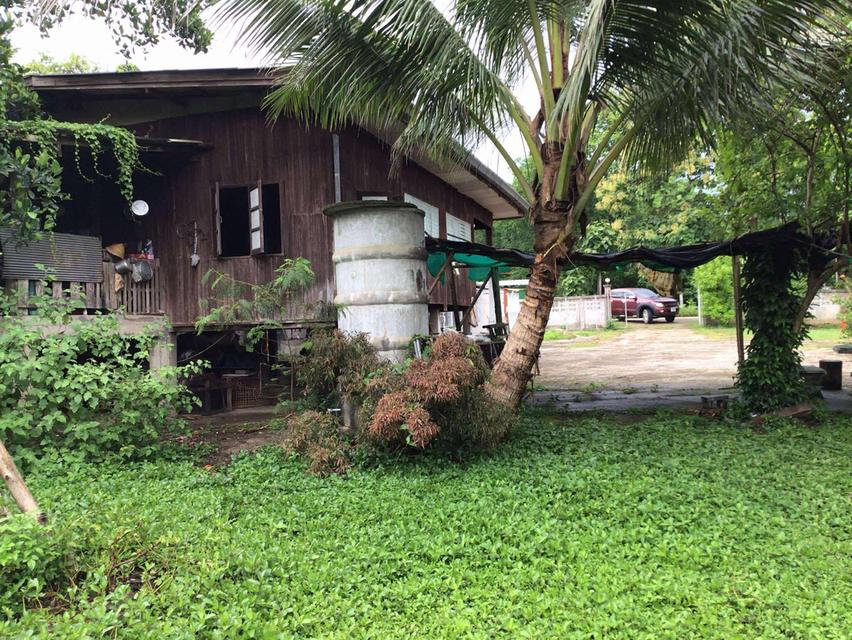 #ขายบ้านไม้ที่แม่เมาะลำปาง เป็นบ้านไม้ยกพื้นพร้อมห้องเก็บของ อยู่ในตัวอำเภอแม้เมาะ ติดถนนค้าขายได้ 3