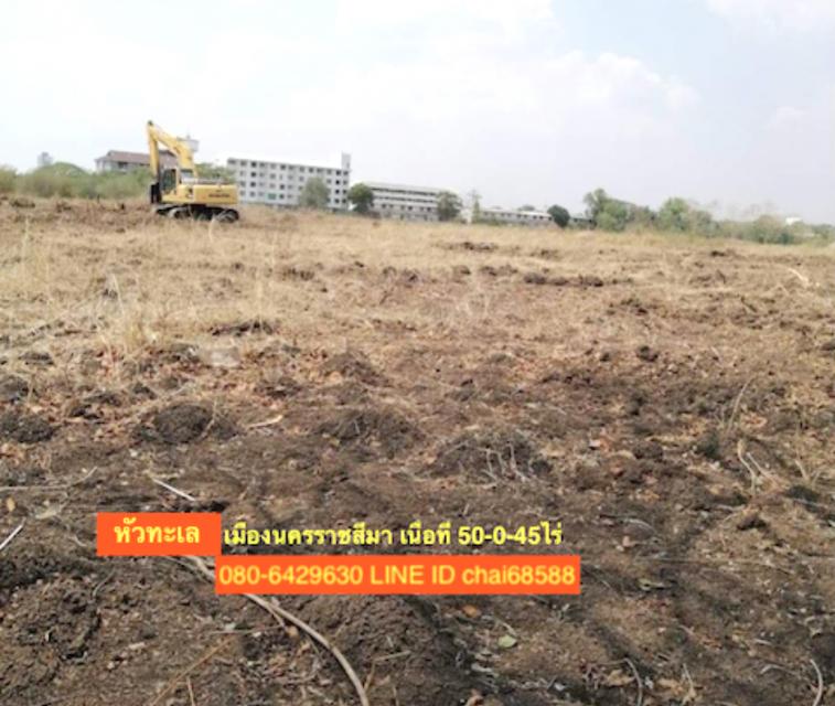 ขายที่ดินใกล้เซ็นทรัลโคราช เนื้อที่ 50ไร่ ที่ดินอยู่ในซอยมหาชัยห่างจากถนนสุรนารายณ์ ประมาณ 1.5กม. 3