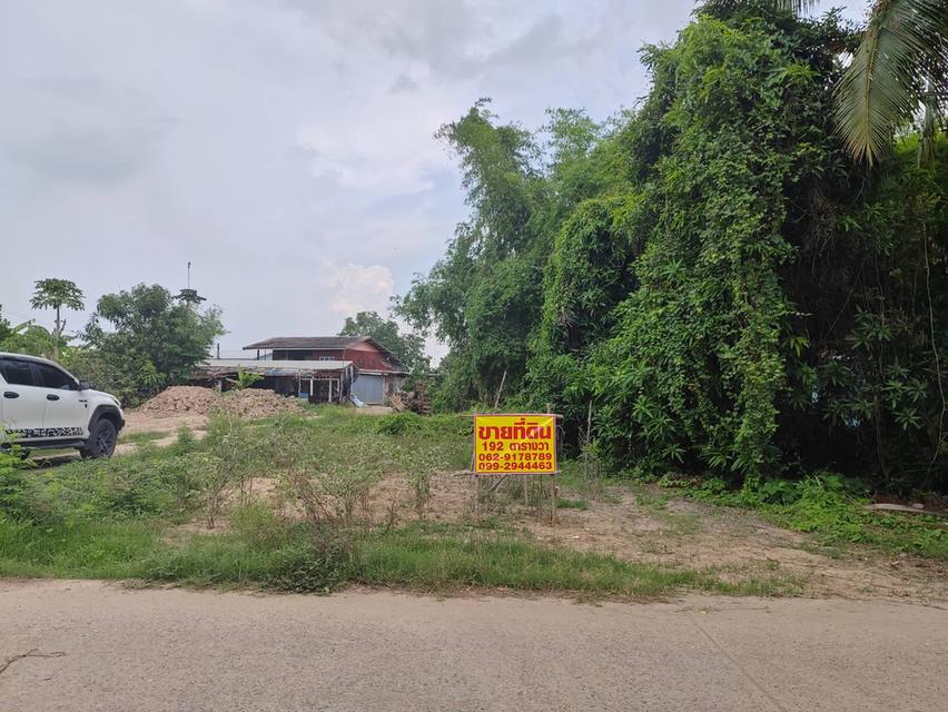 ขายที่ดินเปล่า ติดถนน ทำเลดี อำเภอโพทะเล​ จังหวัดพิจิตร​ 5