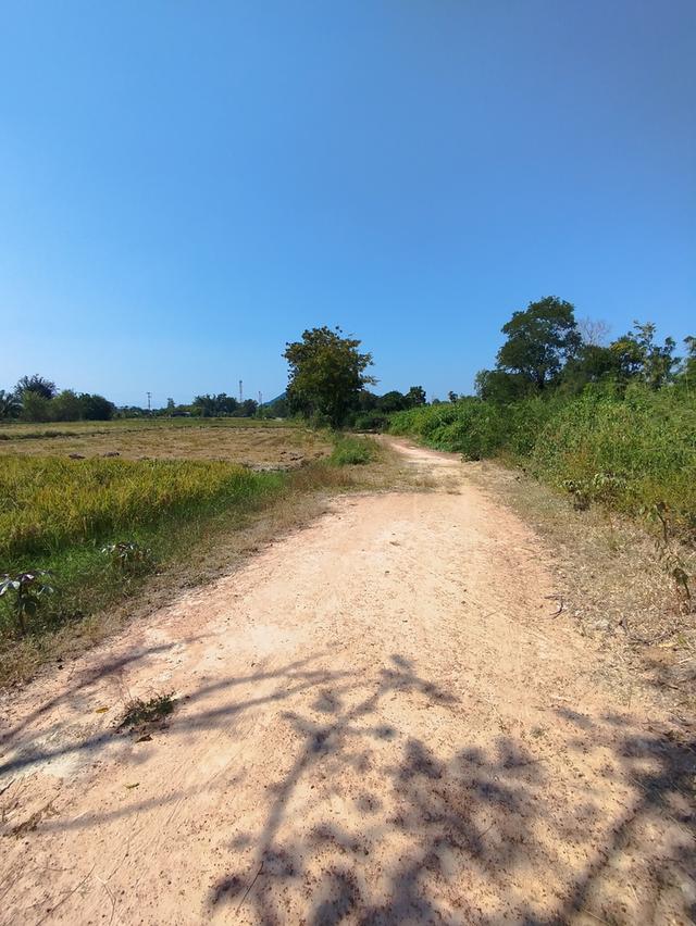 ที่ดิน 1 ไร่ 2 งาน อยู่ห่างจากถนนหน้าค่ายบุรฉัตร จ.ราชบุรีเพียง 500 ม. ขาย 2,700,000 4