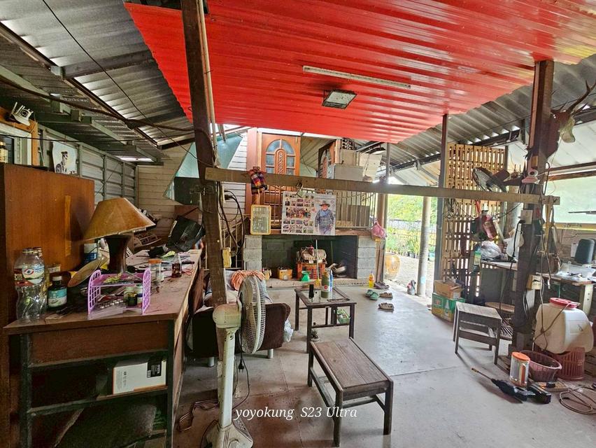 ขายที่ดิน 3-0-80 ไร่ พร้อมสิ่งปลูกสร้าง ติดถนนเลียบคลองขุนศรี ต.ไทรน้อย อ.ไทรน้อย จ.นนทบุรี 11