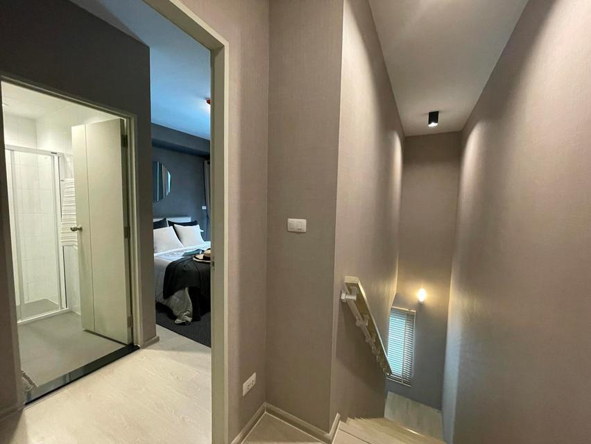 ขาย/ให้เช่า คอนโด ยูนิโอ สุขุมวิท 72 ห้อง Duplex แบบ Pool Access ขนาด 70.5 ตร.ม. บรรยากาศเหมือนอยู่รีสอร์ท ใกล้บีทีเอสแบริ่ง 6