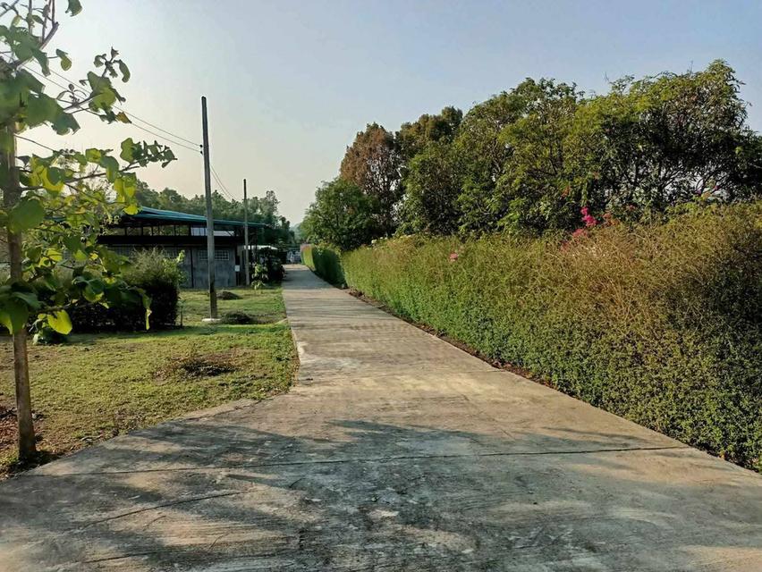 ที่ดิน จังหวัดเชียงใหม่ อำเภอแม่ออน 7