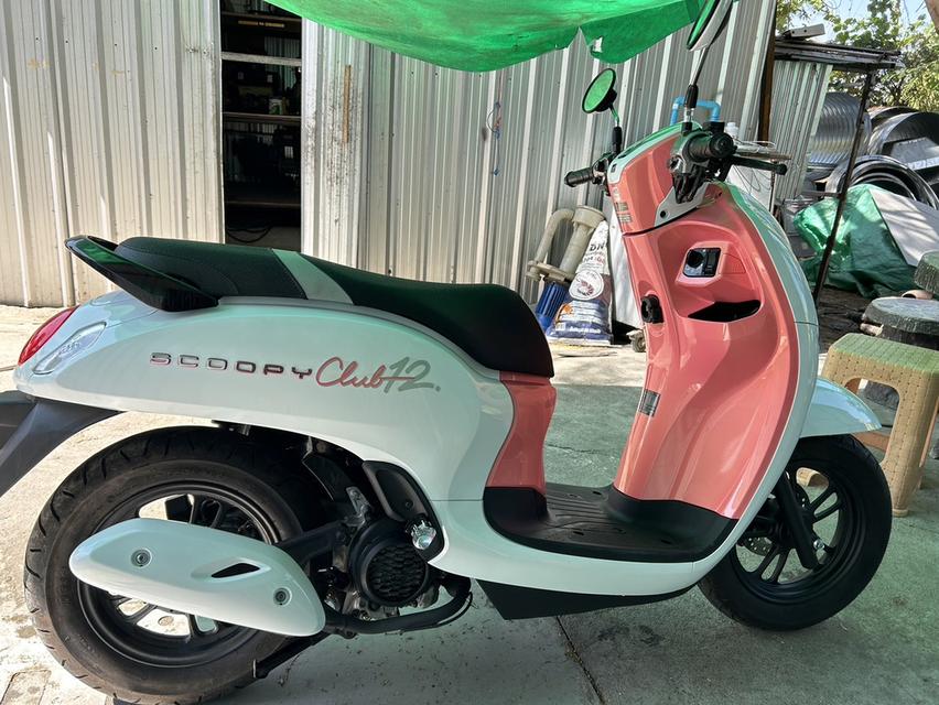 Honda Scopy-i Club 12 (สีขาว-ชมพู) 3