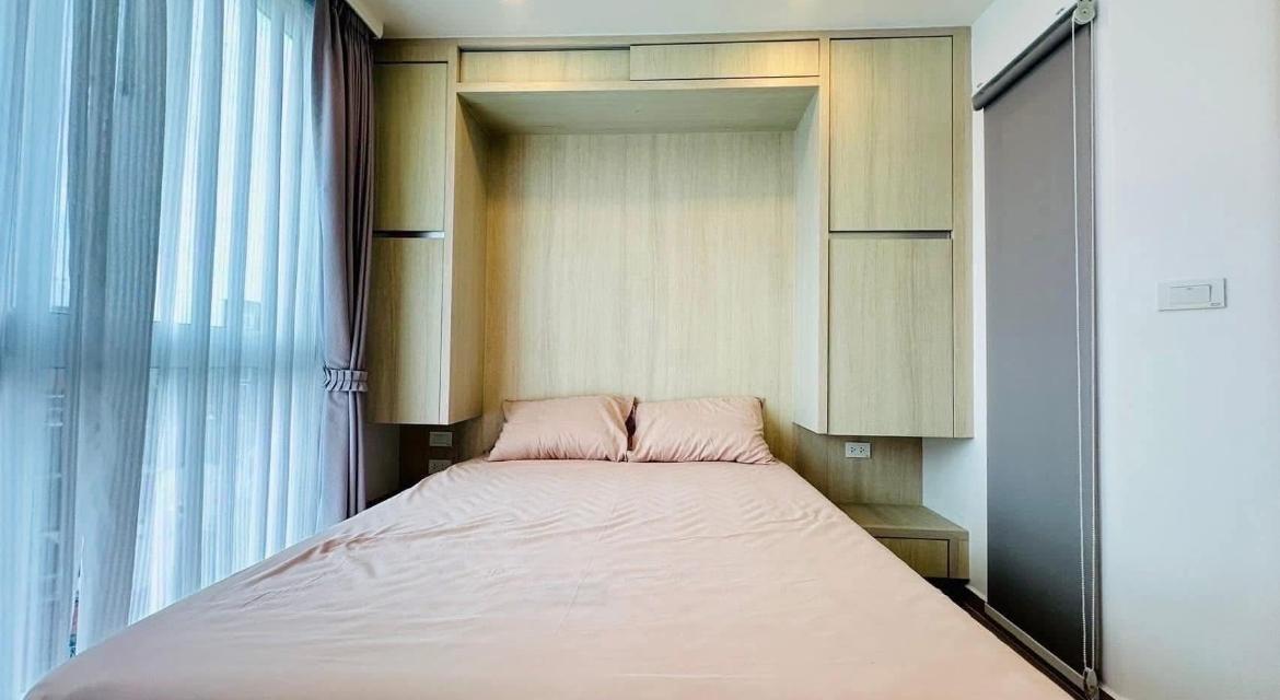 City Garden Olympus Condo พัทยา  1