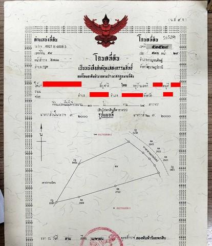 ขายที่ดิน  2 แปลง แปลงใหญ่เนื้อที่ 10 ไร่ 64 ตารางวา  สุราษฎร์ธานี 8