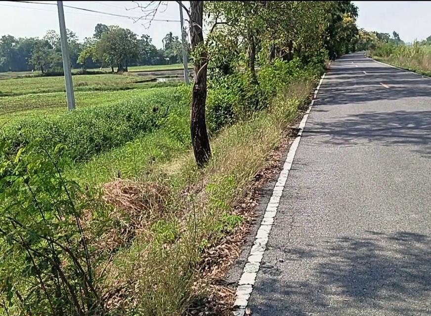 💦 ขายที่ดินติดคลองมะขามเฒ่า 4 ไร่ 77 ตร.วา – บ้านสวนริมคลอง 1.65 ล้าน! 6