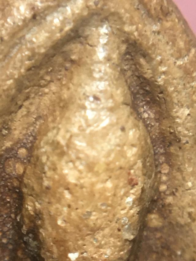 ลีลากำแพงเพชร