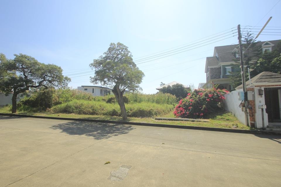 ที่ดินถนนบรมราชชนนีปิ่นเกล้านครชัยศรี ที่ดินสร้างบ้าน396.8ตารางวา หมู่บ้านวริยาวิลล์ หมู่บ้านติดถนนใหญ่ ซอยแรกของโครงการ ใกล้มหิดลศาลายา 14