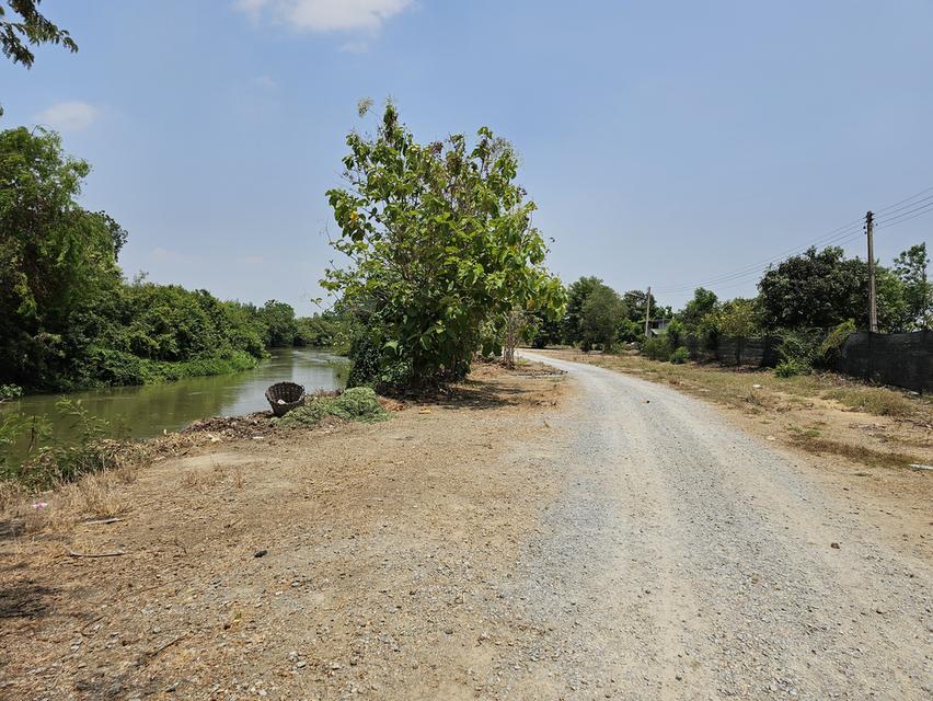 💫ขายที่ดิน💫 พร้อมโรงเรือนกล้วยไม้ 43ไร่ 2งาน กำแพงแสน นครปฐม เพียง 650,000/ไร่ 10