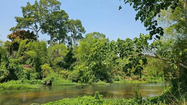 ขายที่ดินสวยระดับนางฟ้า ติดริมแม่น้ำเพชรบุรี