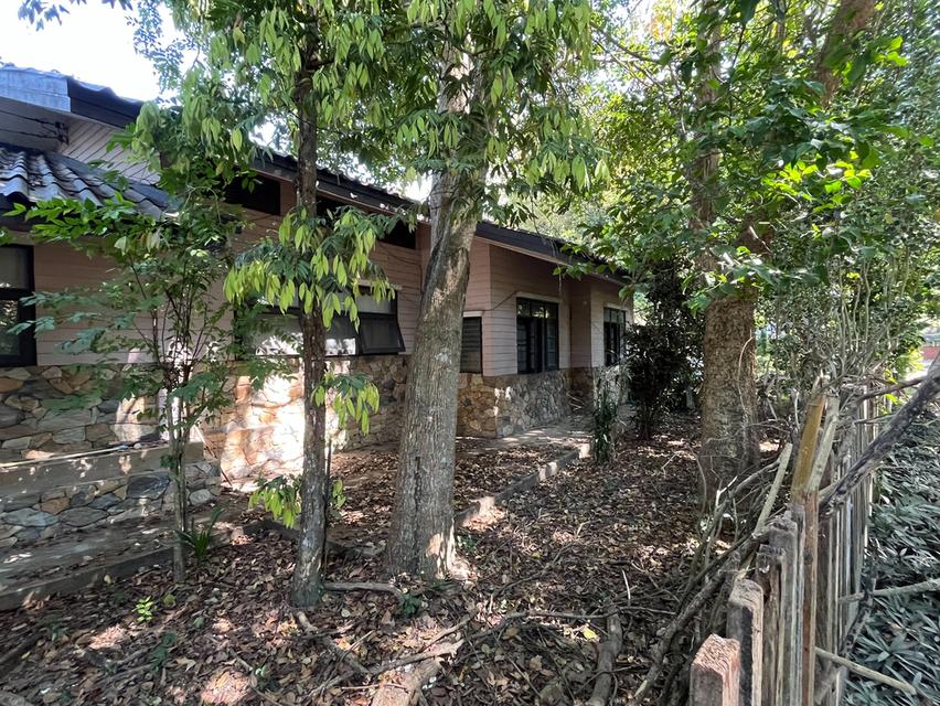 ที่ดินพร้อมบ้าน จำนวน 1 ไร่ มี 2 โฉนด 10