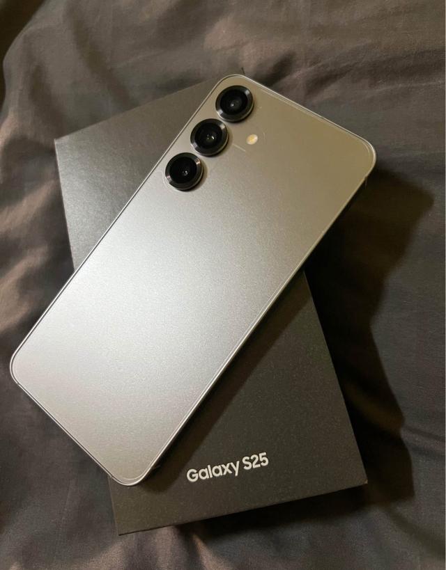 Galaxy S25 Silver Shadow