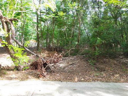 ขายที่ดินจัดสรร ราคาถูก ม.กรีนนิชชาเล่ต์ ซ.บรมราชชนนี 62/6 ติดถนนบรมราชชนนี เขตทวีวัฒนา กรุงเทพ 10170 5