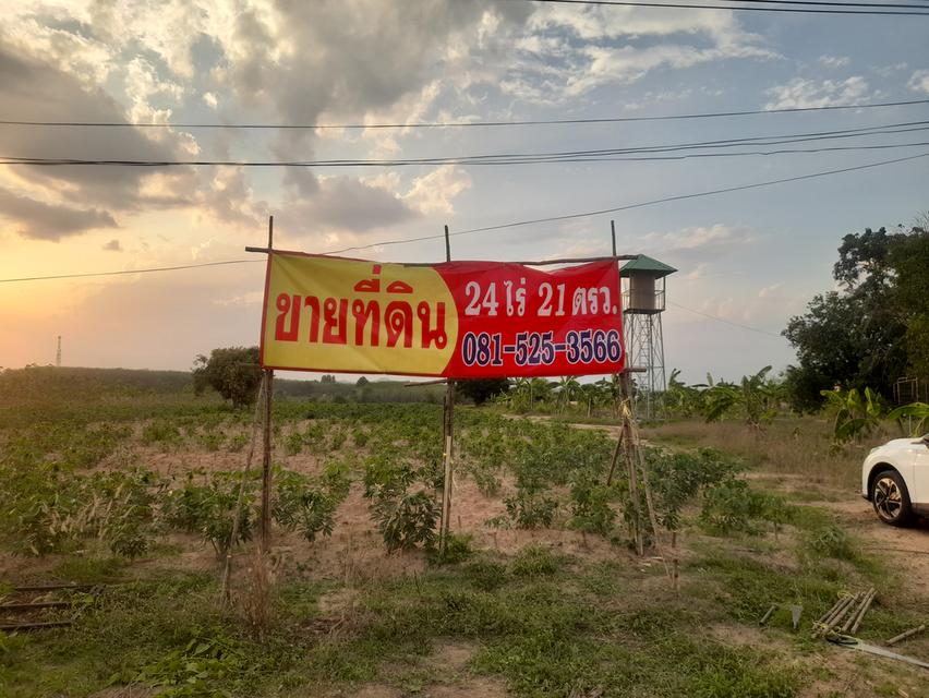 ที่ดินเปล่า 24 ไร่ ติดถนนสาย13 ซอย8 อ.นิคมพัฒนา จ.ระยอง 5