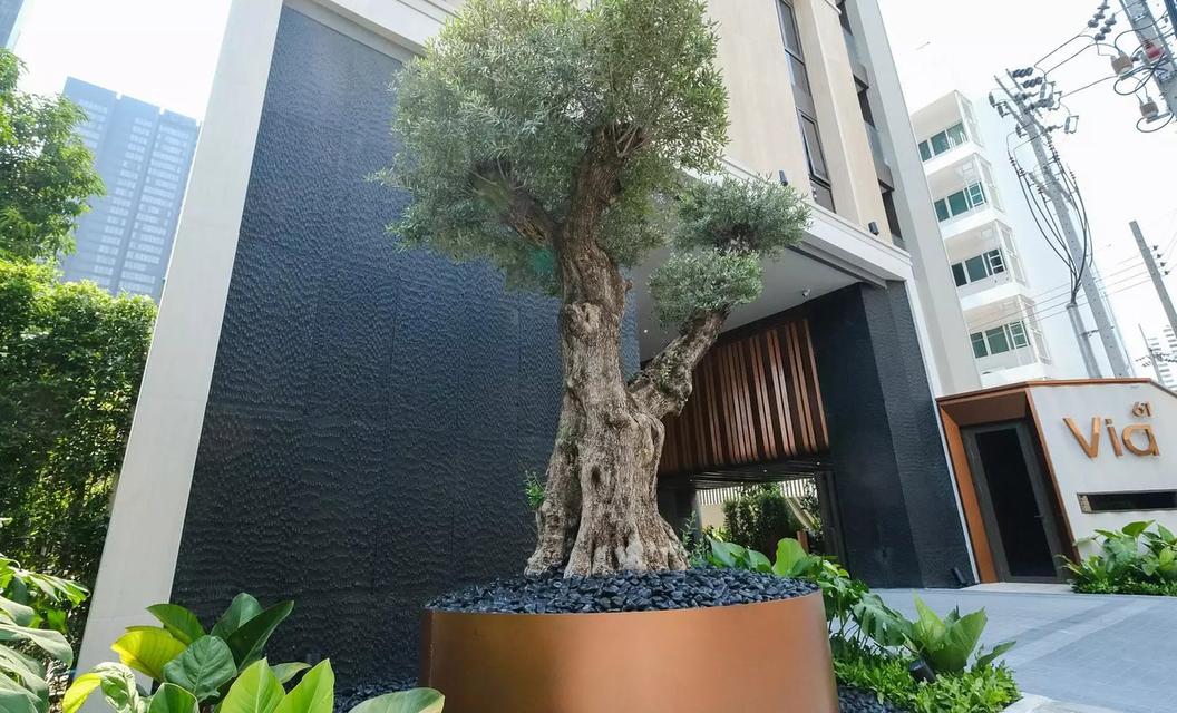 Condo for Rent, Via Sukhumvit 61 1