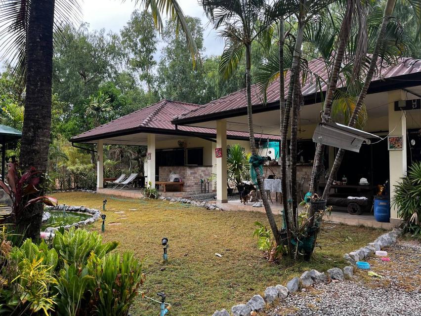 ขายที่ดินติดเขื่อนลำปาว กาฬสินธุ์ พื้นที่รวม 55 ไร่ เหมาะพัฒนารีสอร์ทหรือโครงการท่องเที่ยว 10