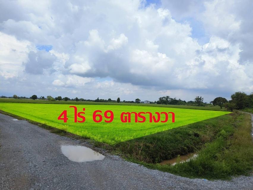  ประกาศขายที่ดิน พิษณุโลก 1