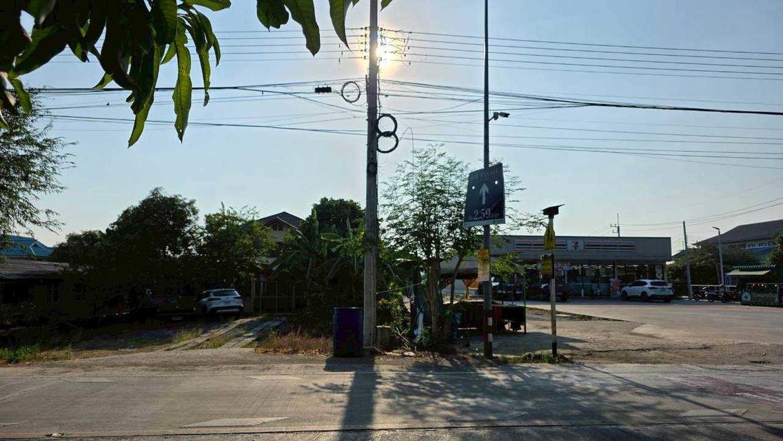 [ขายด่วน!] บ้านเดี่ยวแปลงใหญ่ 194.3 ตร.ว. ทำเลทองติด 7-11 ต.บางพูด จ.ปทุมธานี 3