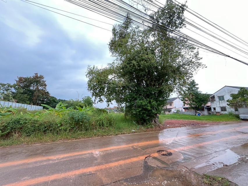 ขายที่ดินกังสดาล ใกล้มหาวิทยาลัยขอนแก่น 3