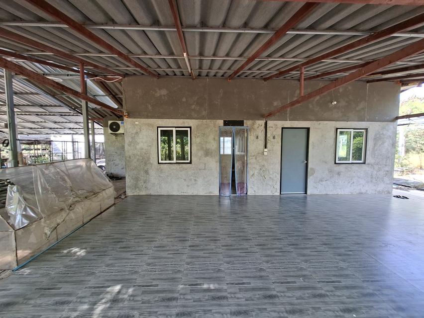 ขายที่ดิน 2 ไร่ 154 ตารางวา 1,000,000 บาท มีห้องพัก 2 ห้อง มีน้ำและไฟฟ้าพร้อมเข้าอยู่ ใกล้วัดสามประชุม อ.โพธิ์ทอง จ.อ่างทอง 13