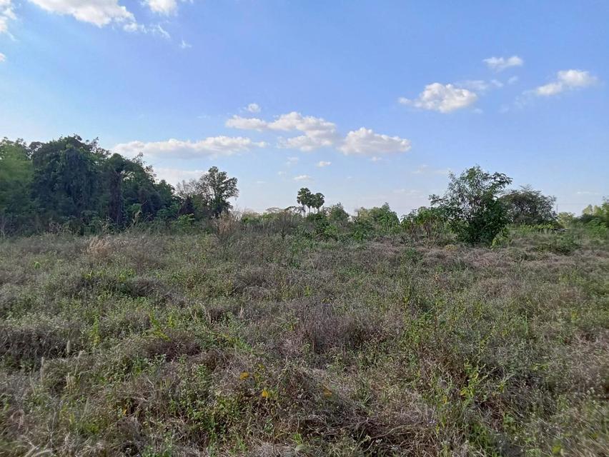 ขายที่ดินแปลงใหญ่ อำเภอทัพทัน จังหวัดอุทัยธานี ** ราคา 299 บาท/วา ** (N.2032) 5